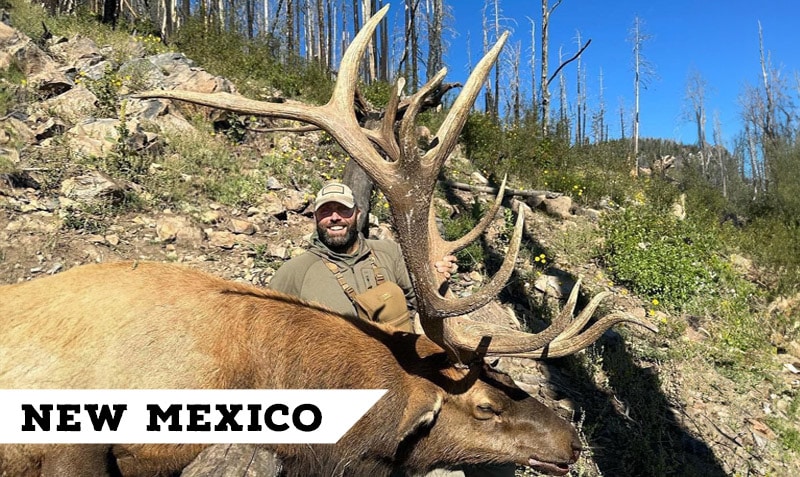 Book Cliffs Elk Hunting