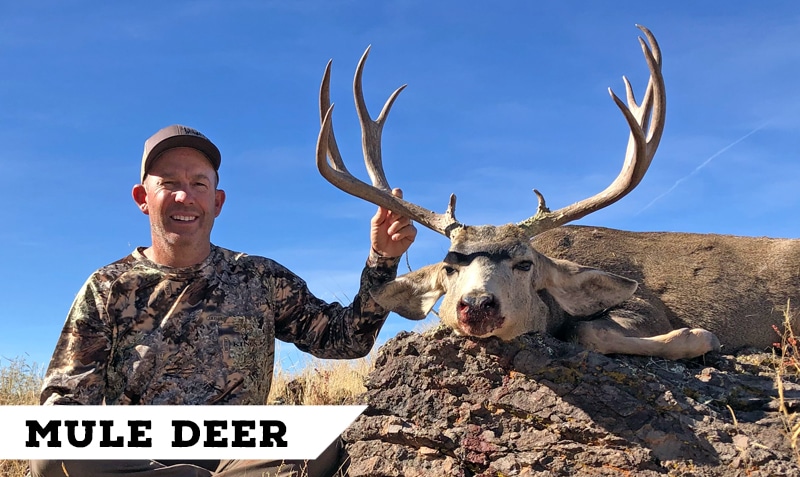 Book Cliffs Elk Hunting