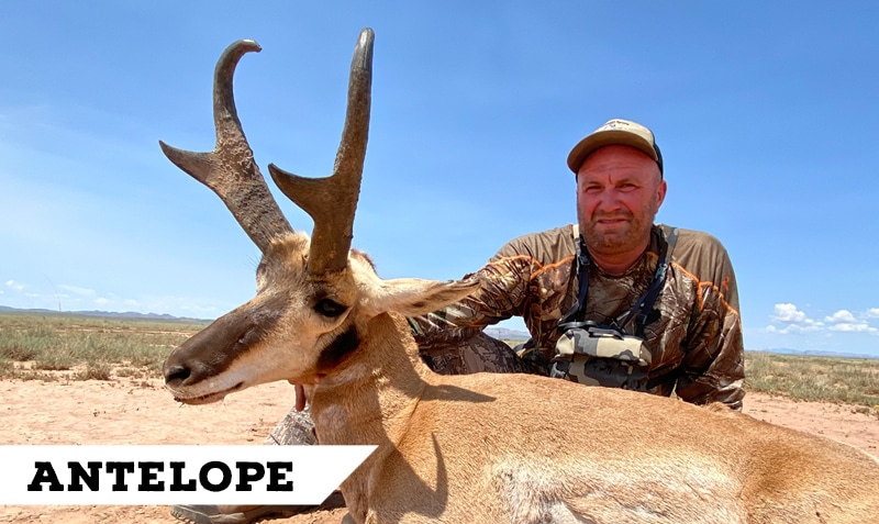 Book Cliffs Elk Hunting